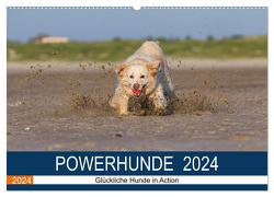 POWERHUNDE 2024 (Wandkalender 2024 DIN A2 quer), CALVENDO Monatskalender von Mirsberger,  Annett
