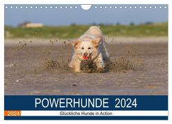 POWERHUNDE 2024 (Wandkalender 2024 DIN A4 quer), CALVENDO Monatskalender von Mirsberger,  Annett