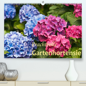 Prachtvolle Gartenhortensie (Premium, hochwertiger DIN A2 Wandkalender 2022, Kunstdruck in Hochglanz) von Keller,  Bernd