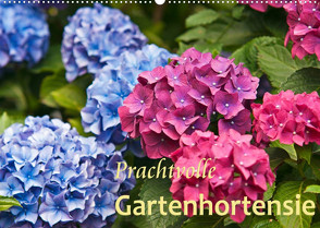Prachtvolle Gartenhortensie (Wandkalender 2022 DIN A2 quer) von Keller,  Bernd