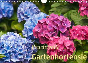 Prachtvolle Gartenhortensie (Wandkalender 2022 DIN A4 quer) von Keller,  Bernd