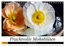 Prachtvolle Mohnblüten (Wandkalender 2024 DIN A4 quer), CALVENDO Monatskalender von Kruse,  Gisela