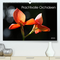 Prachtvolle Orchideen (Premium, hochwertiger DIN A2 Wandkalender 2023, Kunstdruck in Hochglanz) von SchnelleWelten