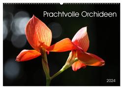 Prachtvolle Orchideen (Wandkalender 2024 DIN A2 quer), CALVENDO Monatskalender von SchnelleWelten,  SchnelleWelten