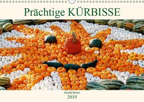 Prächtige Kürbisse (Wandkalender 2019 DIN A3 quer) von Kruse,  Gisela