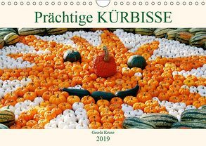 Prächtige Kürbisse (Wandkalender 2019 DIN A4 quer) von Kruse,  Gisela