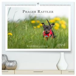 Prager Rattler – Black and Tan – Kleine Hunde ganz groß (hochwertiger Premium Wandkalender 2024 DIN A2 quer), Kunstdruck in Hochglanz von - Seelenbilder,  Julo