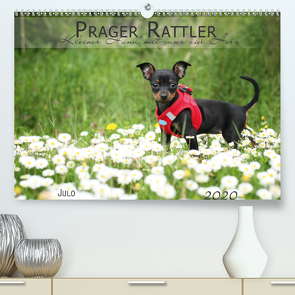 Prager Rattler (Premium, hochwertiger DIN A2 Wandkalender 2020, Kunstdruck in Hochglanz) von Julo-Seelenbider