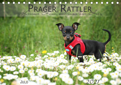 Prager Rattler (Tischkalender 2021 DIN A5 quer) von Julo-Seelenbider