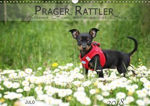Prager Rattler (Wandkalender 2018 DIN A3 quer) von Julo-Seelenbider