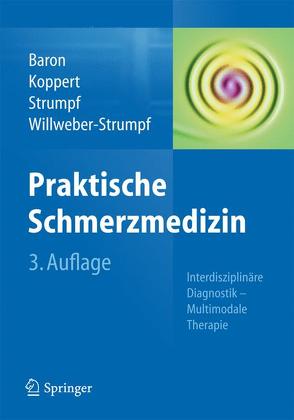 Praktische Schmerzmedizin von Baron,  Ralf, Koppert,  Wolfgang, Strumpf,  Michael, Willweber-Strumpf,  Anne