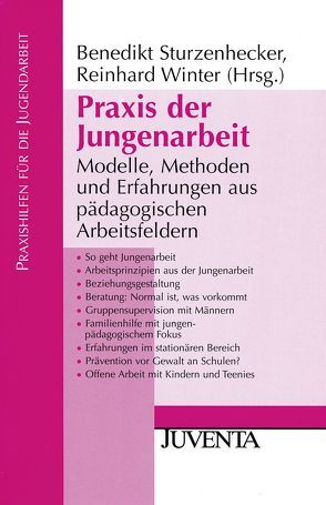 Praxis der Jungenarbeit von Sturzenhecker,  Benedikt, Winter,  Reinhard