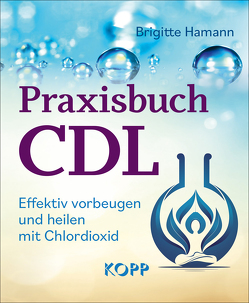 Praxisbuch CDL von Hamann,  Brigitte