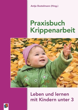 Praxisbuch Krippenarbeit von Bostelmann,  Antje
