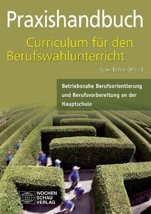 Praxishandbuch Curriculum für den Berufwahlunterricht in der Hauptschule von Braun,  Gabriel, Ebbers,  Ilona, Klein,  Rebekka, Oumard,  Jens, Schroeder,  Julia