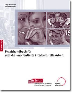 Praxishandbuch für sozialraumorientierte interkulturelle Arbeit von Bestmann,  Stefan, Strassburger,  Gaby
