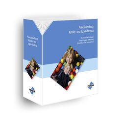 Praxishandbuch Kinder- und Jugendschutz von Freiberger,  Anna-Maria, Mandl,  Petra, Schwarzinger,  Friedrich