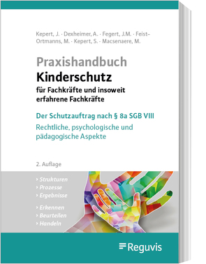 Praxishandbuch Kinderschutz für Fachkräfte und insoweit erfahrene Fachkräfte von Dexheimer,  Andreas, Fegert,  Jörg M, Feist-Ortmanns,  Monika, Kepert,  Jan, Kepert,  Susanne, Macsenaere,  Michael