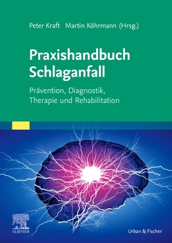 Praxishandbuch Schlaganfall von Köhrmann,  Martin, Kraft,  Peter