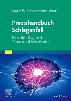 Praxishandbuch Schlaganfall von Köhrmann,  Martin, Kraft,  Peter