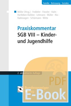Praxiskommentar SGB VIII – Kinder- und Jugendhilfe (E-Book) von Möller,  Winfried