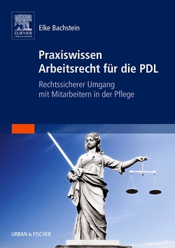 Praxiswissen Arbeitsrecht für die PDL von Bachstein,  Elke, Hübner,  Heike