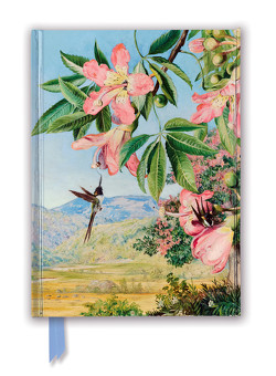 Premium Notizbuch DIN A5: Marianne North, Blätter und Blüten des Chorisia