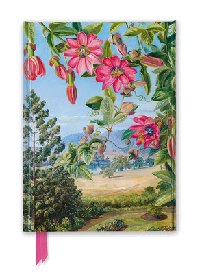 Premium Notizbuch DIN A5: Marianne North, Ein Ausblick in den Brisbane Botanic Garden