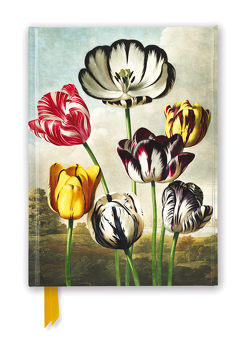 Premium Notizbuch DIN A5: Temple of Flora – Tulpen