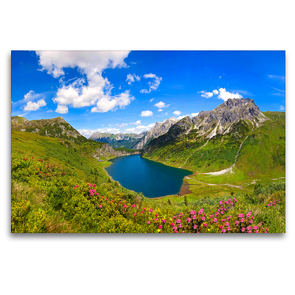 Premium Textil-Leinwand 120 x 80 cm Quer-Format Almrauschblüte oberhalb der Tappenkarseehütte | Wandbild, HD-Bild auf Keilrahmen, Fertigbild auf hochwertigem Vlies, Leinwanddruck von Christa Kramer