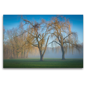 Premium Textil-Leinwand 120 x 80 cm Quer-Format Bäume im Nebel | Wandbild, HD-Bild auf Keilrahmen, Fertigbild auf hochwertigem Vlies, Leinwanddruck von Martin Wasilewski