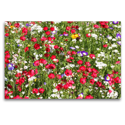 Premium Textil-Leinwand 120 x 80 cm Quer-Format Blumenwiese mit Rotem Lein | Wandbild, HD-Bild auf Keilrahmen, Fertigbild auf hochwertigem Vlies, Leinwanddruck von Gisela Kruse