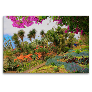 Premium Textil-Leinwand 120 x 80 cm Quer-Format Botanischer Garten Kakteen | Wandbild, HD-Bild auf Keilrahmen, Fertigbild auf hochwertigem Vlies, Leinwanddruck von Klaus Lielischkies