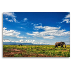 Premium Textil-Leinwand 120 x 80 cm Quer-Format Elefant in der Savanne | Wandbild, HD-Bild auf Keilrahmen, Fertigbild auf hochwertigem Vlies, Leinwanddruck von Michael Zech Fotografie