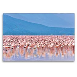 Premium Textil-Leinwand 120 x 80 cm Quer-Format Flamingos im Rift Valley | Wandbild, HD-Bild auf Keilrahmen, Fertigbild auf hochwertigem Vlies, Leinwanddruck von Jürgen Feuerer