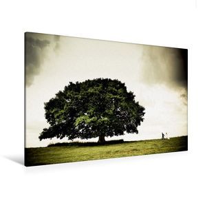 Premium Textil-Leinwand 120 x 80 cm Quer-Format Juni: Unter herrlichem Sommergrün lässt es die Liebe blühn. Hochzeitsfotografie bei der Stieleiche. | Wandbild, HD-Bild auf Keilrahmen, Fertigbild auf hochwertigem Vlies, Leinwanddruck von Ingo Gerlach GDT von Gerlach GDT,  Ingo