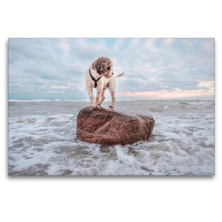 Premium Textil-Leinwand 120 x 80 cm Quer-Format Lagotto Romagnolo Freiheitsstatue an der Ostsee | Wandbild, HD-Bild auf Keilrahmen, Fertigbild auf hochwertigem Vlies, Leinwanddruck von Wuffclick-pic