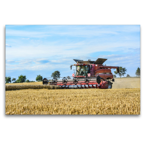 Premium Textil-Leinwand 120 x 80 cm Quer-Format Landwirtschaft – Giganten im Kornfeld | Wandbild, HD-Bild auf Keilrahmen, Fertigbild auf hochwertigem Vlies, Leinwanddruck von N N