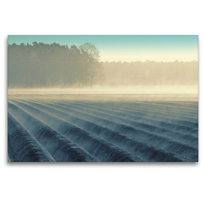 Premium Textil-Leinwand 120 x 80 cm Quer-Format Nebelmorgen über dem Spargelfeld von Tanja Riedel | Wandbild, HD-Bild auf Keilrahmen, Fertigbild auf hochwertigem Vlies, Leinwanddruck von N N