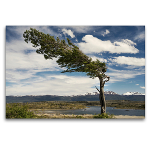 Premium Textil-Leinwand 120 x 80 cm Quer-Format Patagonische Winde in Tierra Del Fuego | Wandbild, HD-Bild auf Keilrahmen, Fertigbild auf hochwertigem Vlies, Leinwanddruck von Teresa Schade