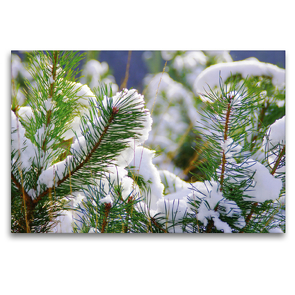 Premium Textil-Leinwand 120 x 80 cm Quer-Format Perpetual winter Dreams by Tanja Riedel | Wandbild, HD-Bild auf Keilrahmen, Fertigbild auf hochwertigem Vlies, Leinwanddruck von N N