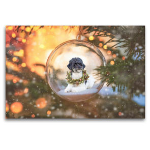 Premium Textil-Leinwand 120 x 80 cm Quer-Format Pudel Weihnachten | Wandbild, HD-Bild auf Keilrahmen, Fertigbild auf hochwertigem Vlies, Leinwanddruck von Sabine Böke-Bergau