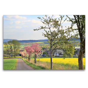 Premium Textil-Leinwand 120 x 80 cm Quer-Format Rapszeit – Die Farben des Frühlings | Wandbild, HD-Bild auf Keilrahmen, Fertigbild auf hochwertigem Vlies, Leinwanddruck von Arno Klatt