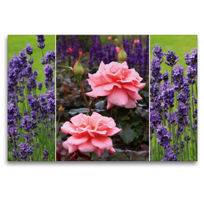 Premium Textil-Leinwand 120 x 80 cm Quer-Format Rosen und Lavendel | Wandbild, HD-Bild auf Keilrahmen, Fertigbild auf hochwertigem Vlies, Leinwanddruck von SusaZoom