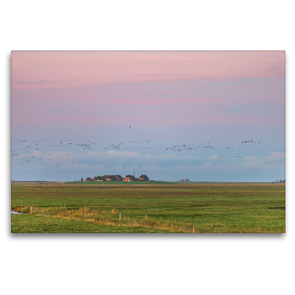 Premium Textil-Leinwand 120 x 80 cm Quer-Format Sonnenaufgang auf der Hallig Langeneß | Wandbild, HD-Bild auf Keilrahmen, Fertigbild auf hochwertigem Vlies, Leinwanddruck von Annett Mirsberger