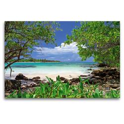 Premium Textil-Leinwand 120 x 80 cm Quer-Format Türkisfarbenes Meer und saftig grüne Mangroven an der Küste von Yucatan | Wandbild, HD-Bild auf Keilrahmen, Fertigbild auf hochwertigem Vlies, Leinwanddruck von CALVENDO