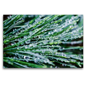 Premium Textil-Leinwand 120 x 80 cm Quer-Format Wasserperlen | Wandbild, HD-Bild auf Keilrahmen, Fertigbild auf hochwertigem Vlies, Leinwanddruck von Nina Schwarze