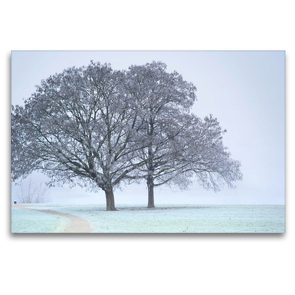 Premium Textil-Leinwand 120 x 80 cm Quer-Format Wintermorgen am Rhein. | Wandbild, HD-Bild auf Keilrahmen, Fertigbild auf hochwertigem Vlies, Leinwanddruck von Thomas Seethaler