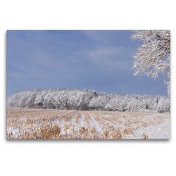 Premium Textil-Leinwand 120 x 80 cm Quer-Format Winterstimmung am Waldesrand | Wandbild, HD-Bild auf Keilrahmen, Fertigbild auf hochwertigem Vlies, Leinwanddruck von Schwan