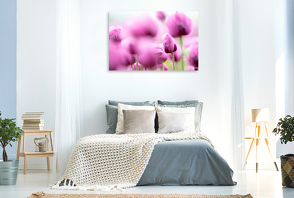 Premium Textil-Leinwand 1200 x 800 cm Quer-Format Blaumohn Blüte im Blütenmeer | Wandbild, HD-Bild auf Keilrahmen, Fertigbild auf hochwertigem Vlies, Leinwanddruck von Fotodesign Verena Scholze